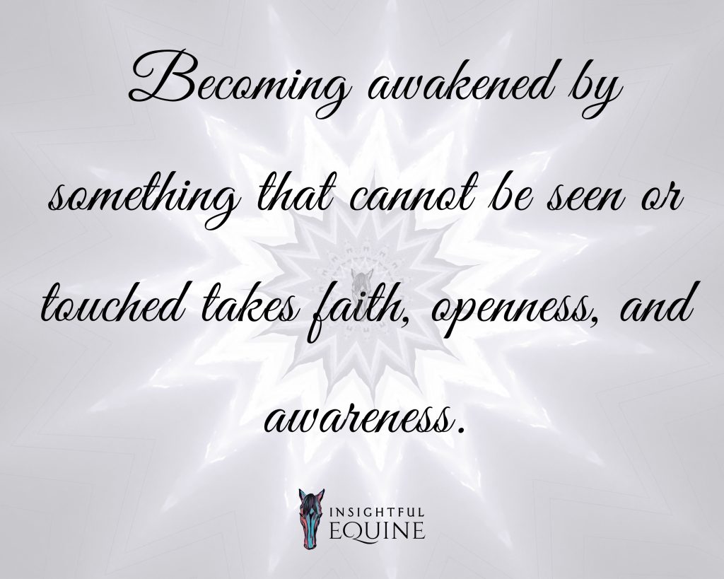 Horses must be felt with the heart to be truly appreciated.