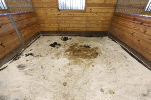 Is it possible to have cleaner stalls and shelters using less bedding? This method saves time and money too! Yes, this magical method really does exist. The Insightful Equine rotational bedding method is the trick to achieving such stall satisfaction.