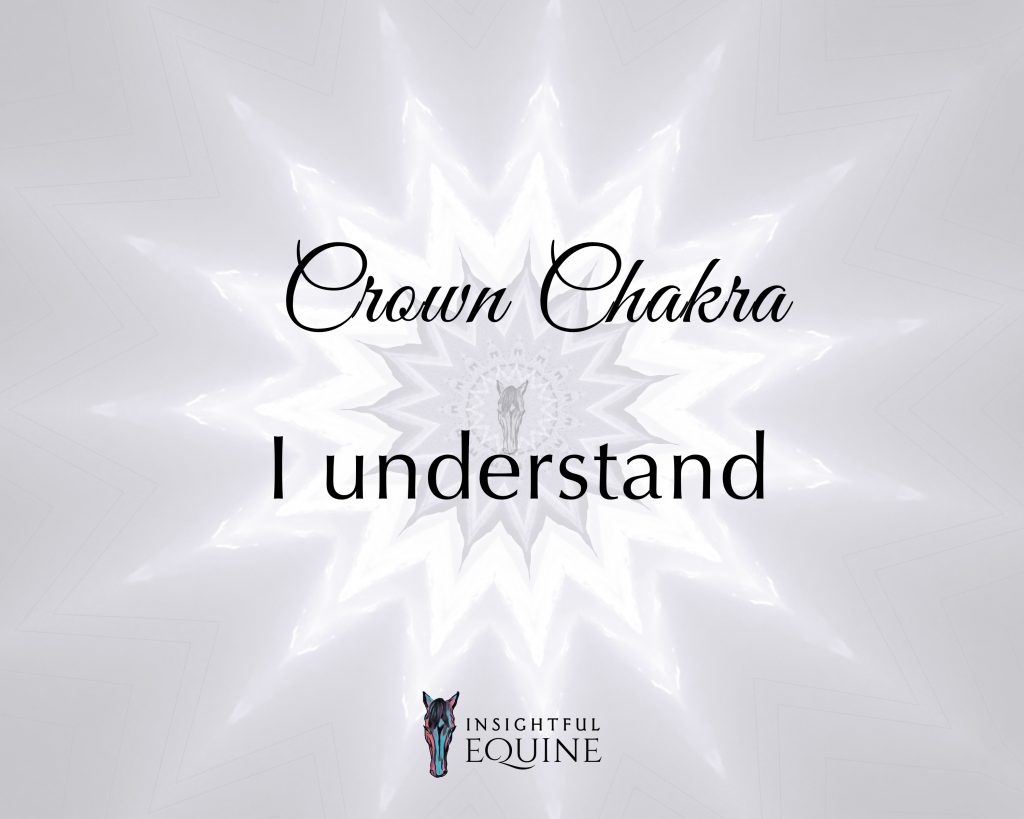 Horses have a unique perspective of the world and can help us to keep the crown charka in balance. 