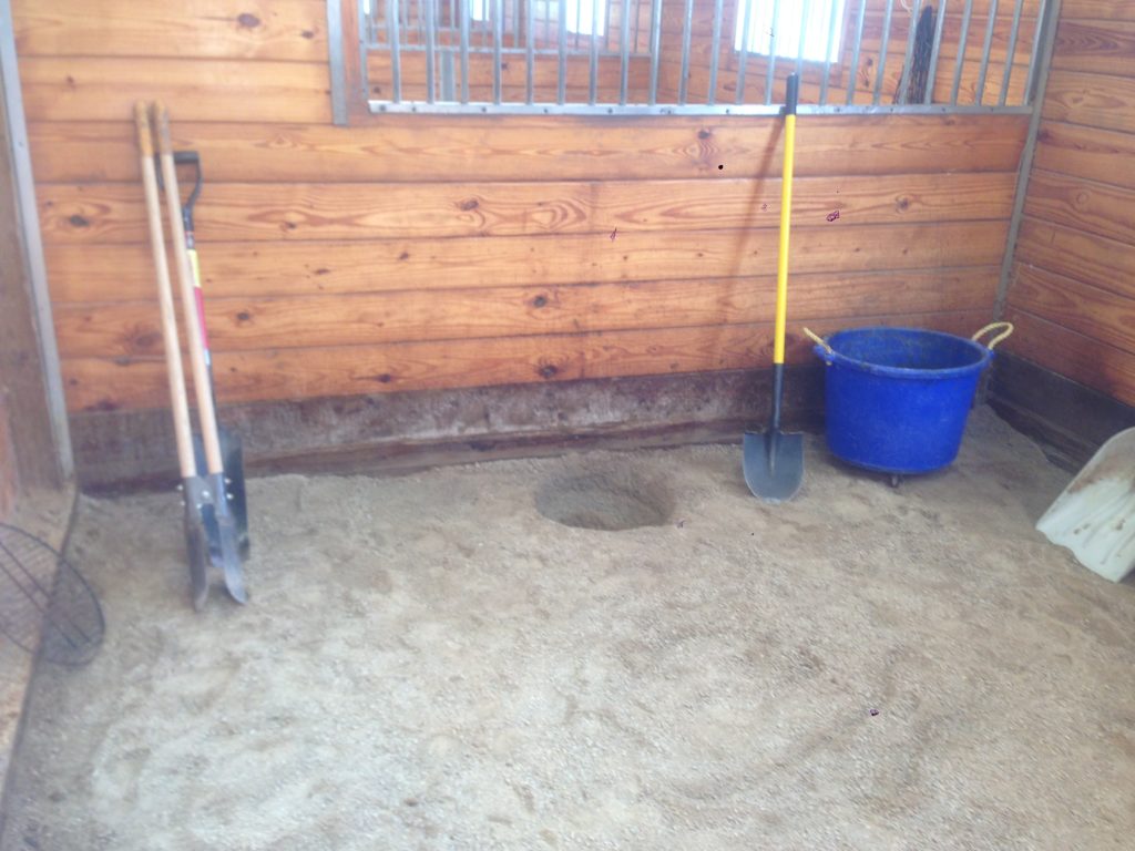 On the fence about rubber stall mats vs Stallskins stall liners? Check out this post for the full scoop to see if stall skins are right for your horse's stall. It covers the pros and cons of putting permeable geo-textile in your barn and shelters as well as handy DIY installation tips from Insightful Equine.