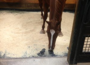 Read more about the article The Stall Cleaning Method That’s Cheaper, Faster, And More Effective