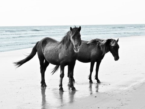 Balancing The Elements