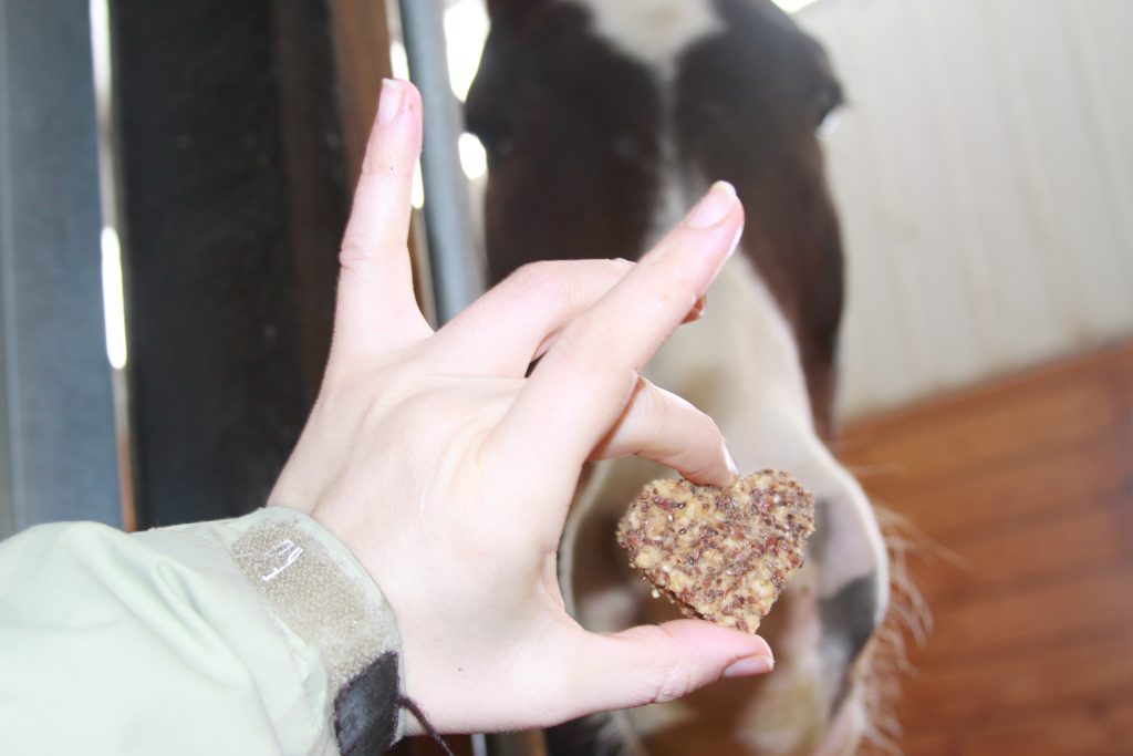 Healthy Omega Horse Treats Recipe Insightful Equine