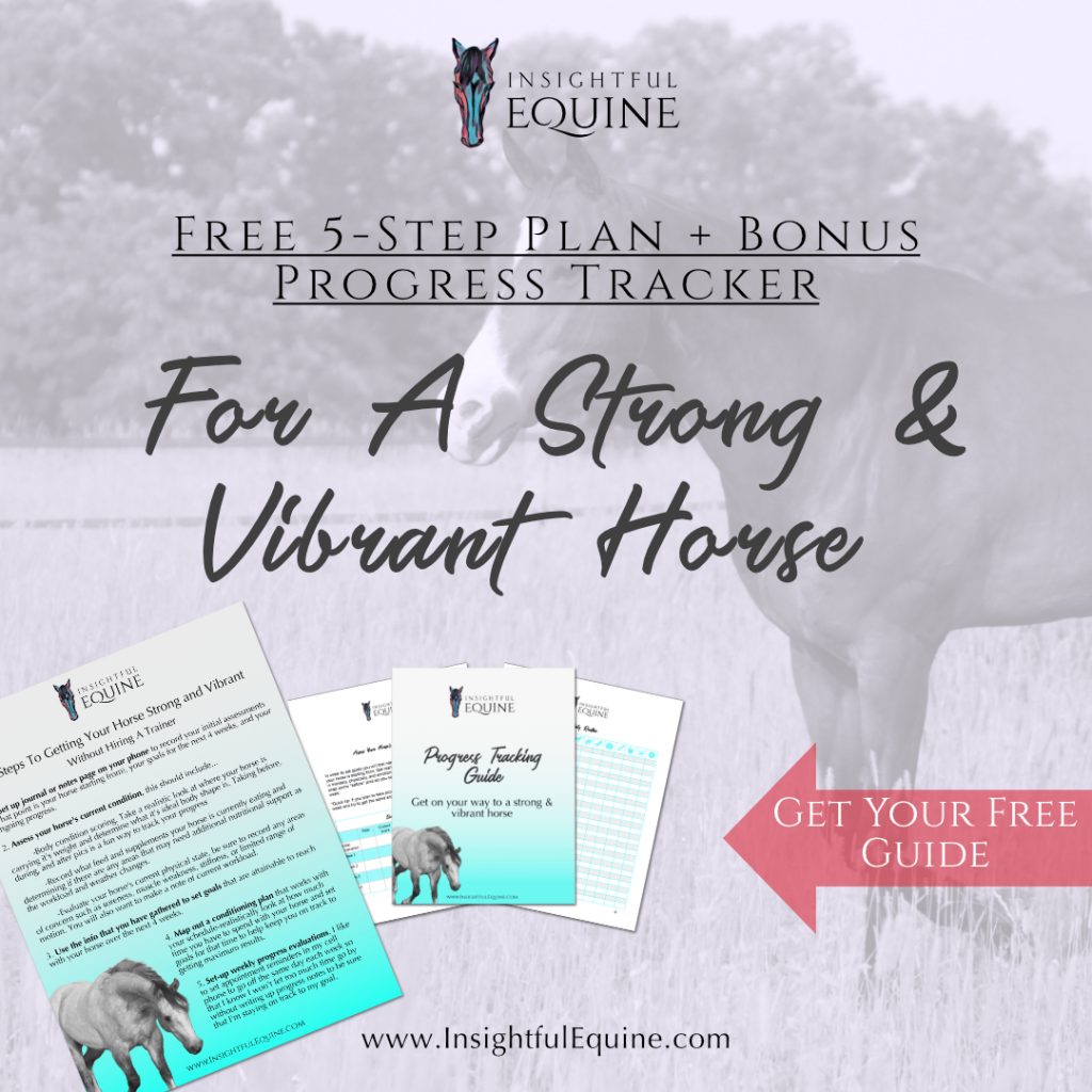 Free 5-step plan to having a strong vibrant horse