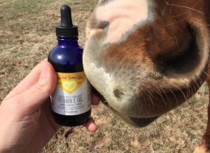 Read more about the article Ten Ways To Use Vitamin E Oil For A Naturally Beautiful Horse