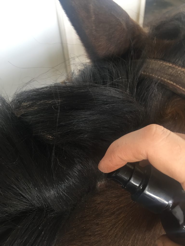 Vitamin E oil has become my new go-to here at Insightful Equine. It's not just for great skin and pretty hair anymore. I'm taking it to the barn to share the benefits with the horses. Check out all the great ways to use vitamin E oil for everything from tick bites to skin issues to thicker fuller tails.