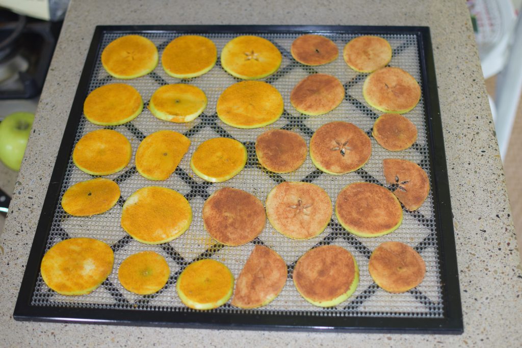 This dehydrator horse treat recipe is very simple and gives your equine pal the benefit of both cinnamon and turmeric. They turn out looking really pretty too so you can always make them for your equestrian friends and give as appreciation gifts when you find yourself asking for a favor, borrowing a trailer, or needing a chore helper.