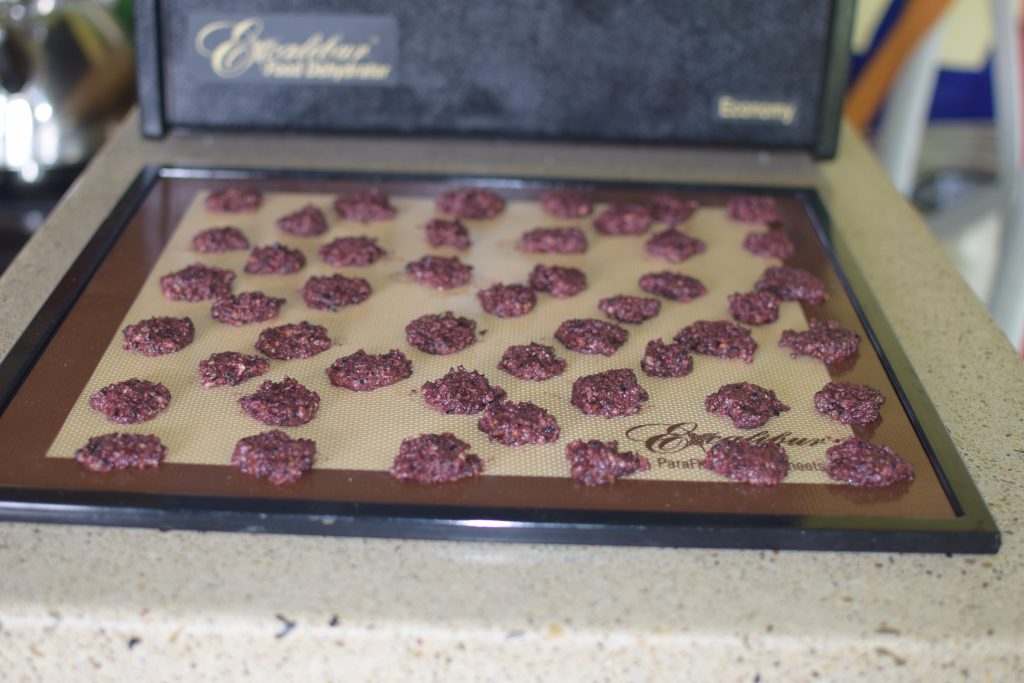 Read more about the article Dehydrated Almond Berry Bites * Superfood Horse Treats