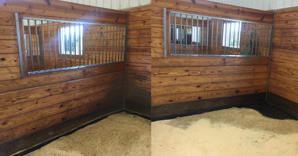 Read more about the article Simple Homemade Stall Cleaner