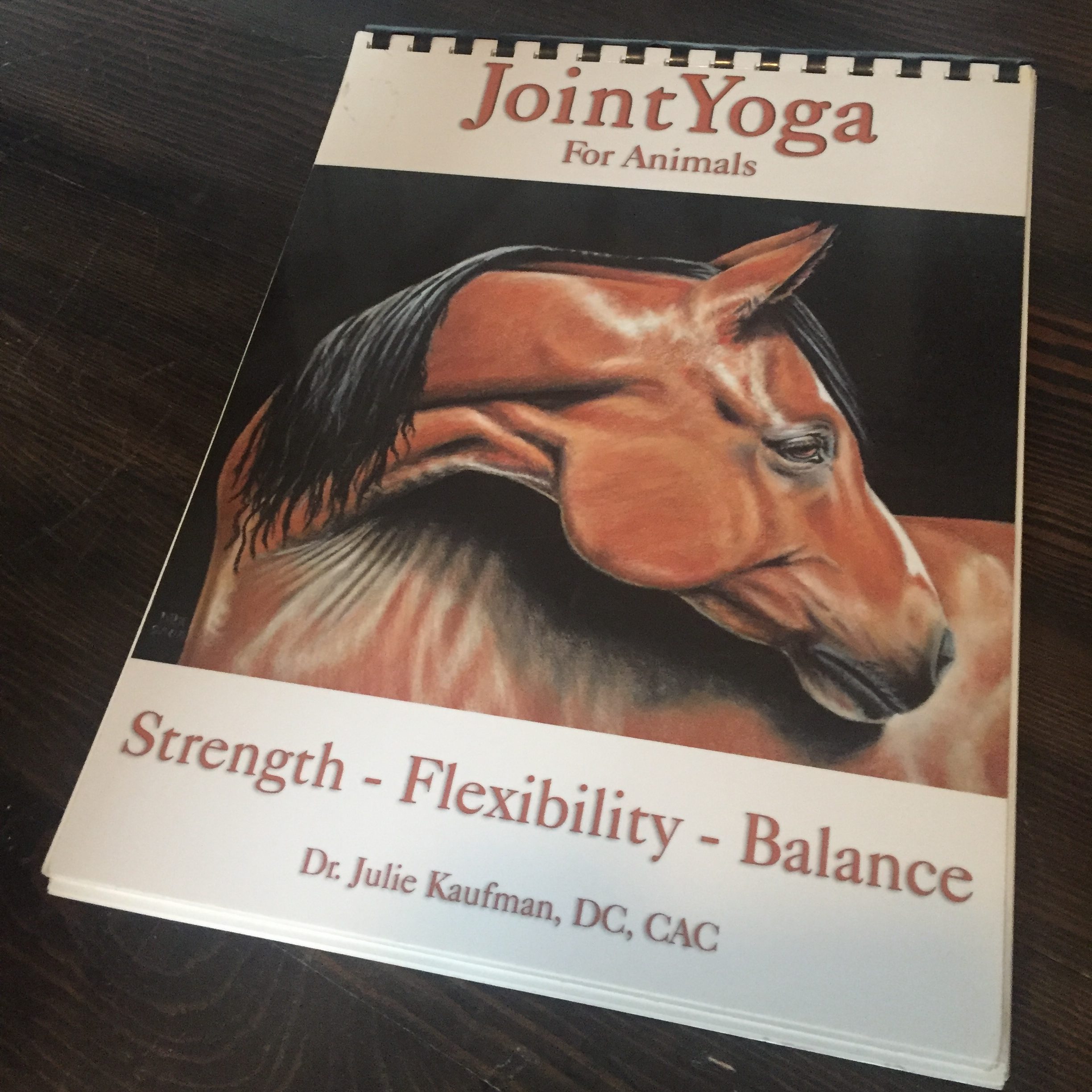 horse fitness and flexibility with joint yoga