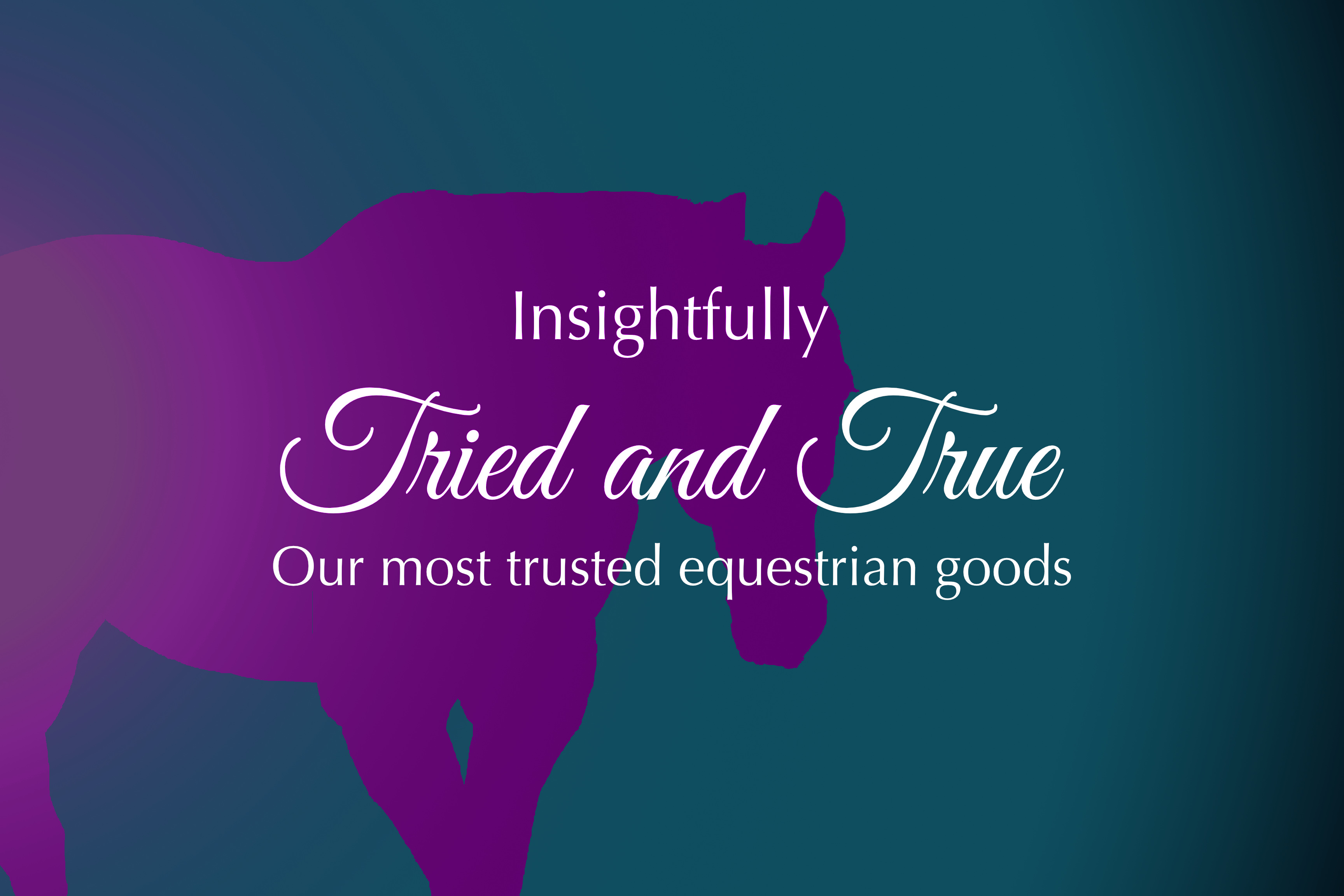 A curated list of our most trusted horse products