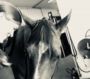 Read more about the article 10x Your Motivation To Ride