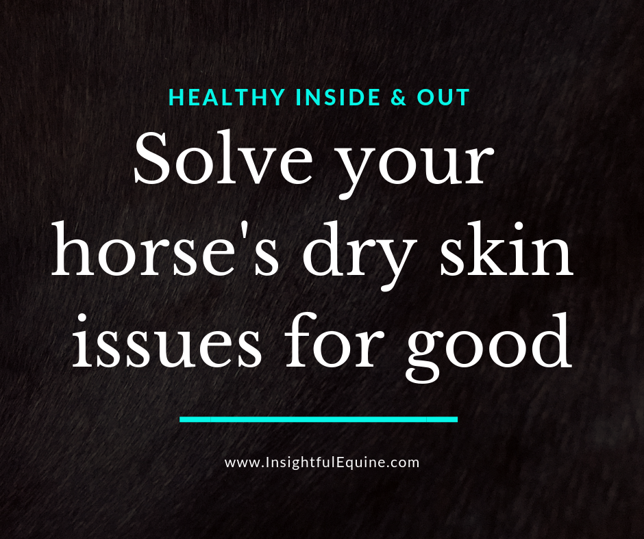 Solving Your Horse's Dry Skin Issues Insightful Equine