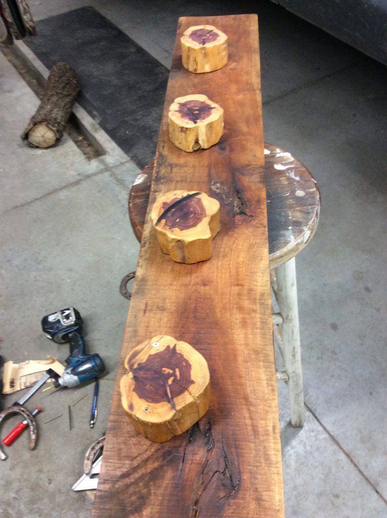 Full step-by-step plans to craft your own stunning horseshoe coat or bridle rack the easy way without welding, cutting, or bending any horseshoes.