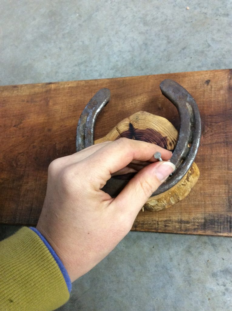 Full step-by-step plans to craft your own stunning horseshoe coat or bridle rack the easy way without welding, cutting, or bending any horseshoes.
