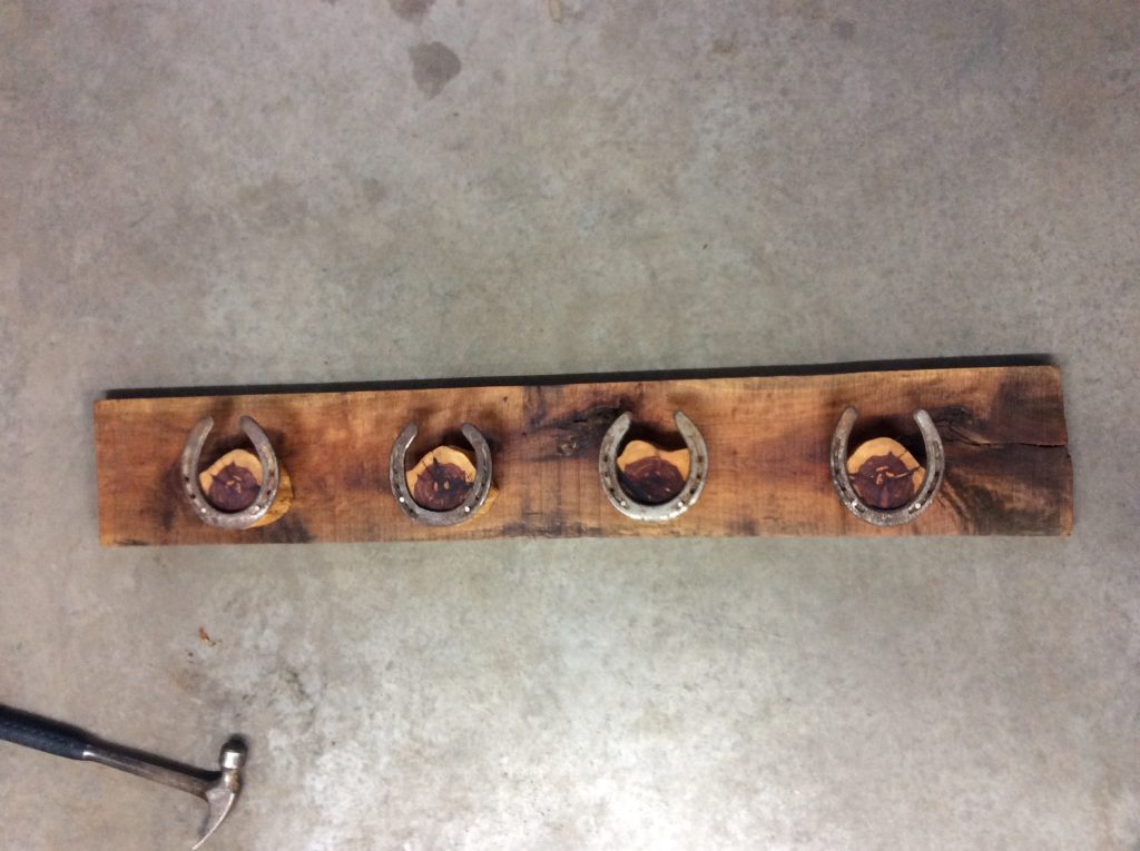 Full step-by-step plans to craft your own stunning horseshoe coat or bridle rack the easy way without welding, cutting, or bending any horseshoes.