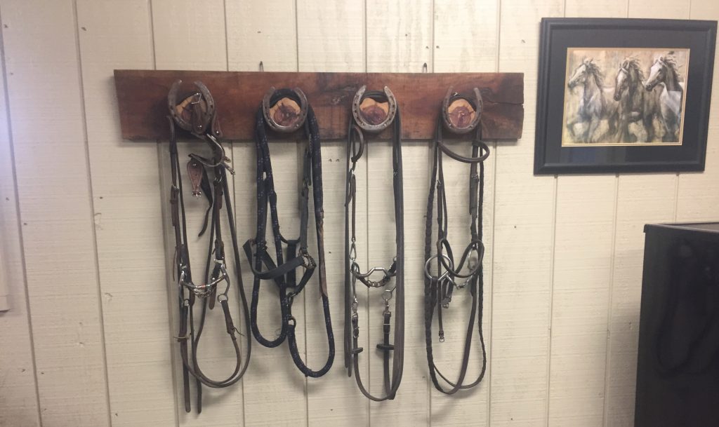 Read more about the article DIY Horseshoe Bridle Rack That’s Easy + Stunning