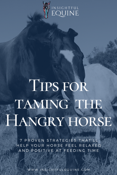7 proven strategies to eliminate food aggression and help your horse feel relaxed and positive around food.