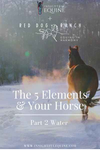 Sam from Red Dog Ranch shares ways of balancing the Water Element to support your horse and yourself during winter.