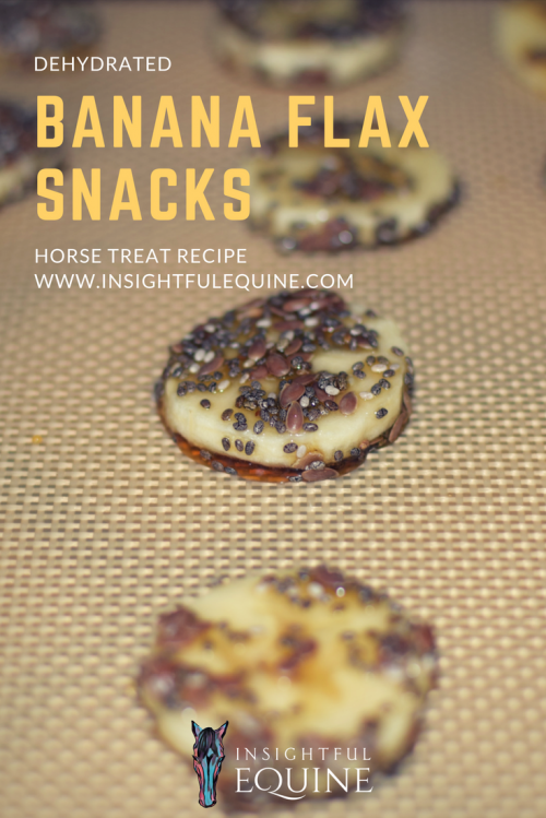 This natural whole food horse treat recipe is great for helping with boosting your horse's omega 3s for everything from heart health to shiny coats. These DIY equine rewards are simple to make in a food dehydrator.