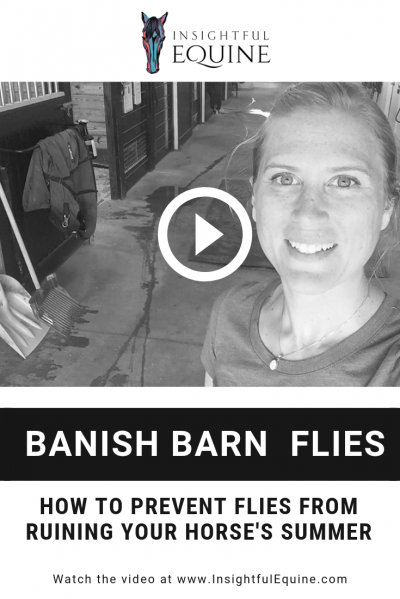 The simple free way to prevent barn flies from ruining your horse's summer