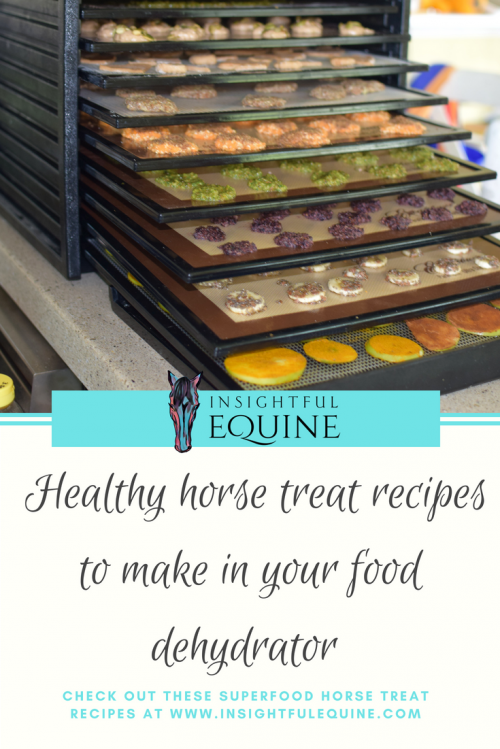 These horse treat recipes are perfect for your favorite equine pal, they use all natural ingredients, no added sugar, and superfoods for added benefits in each recipe. Ditch the sugary, artificial treats. Up your horsemanship game and start making your own natural homemade treats.