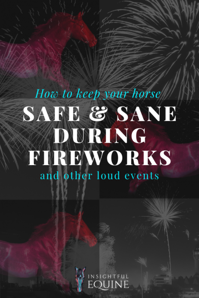 Prevent your horse from getting freaked out by fireworks with these handy tips to help them stay safe and sane during loud events, storms, and fireworks.
