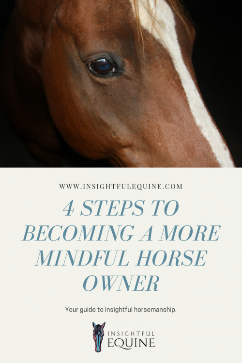 Be the owner every horse dreams of having, become more mindful by bringing awareness to your horsemanship and riding. Your four-step guide to being a more mindful equestrian.