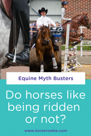 Pint+horses-like-riding