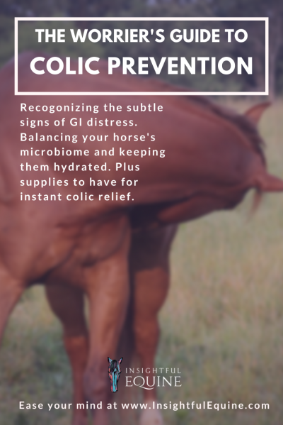 Insightful Equine is helping you to understand the causes of colic and ways to prevent it, recognize the signs of colic, and how to be prepared if it happens to your horse.