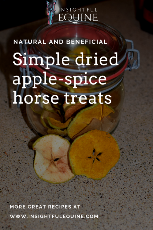 This dehydrator horse treat recipe is very simple and gives your equine pal the benefit of both cinnamon and turmeric. They turn out looking really pretty too so you can always make them for your equestrian friends and give as appreciation gifts when you find yourself asking for a favor, borrowing a trailer, or needing a chore helper.
