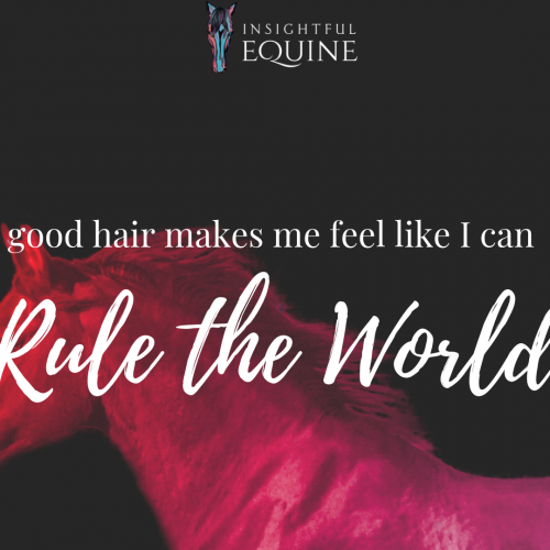 The mane and tail brush for gorgeous healthy hair