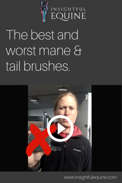 We're filling you in on the mane & tail brush that damages hair and drives your horse crazy and which one they would rather be groomed with for gorgeous healthy hair. Grow longer thinker manes and tail naturally with the right grooming tools.
